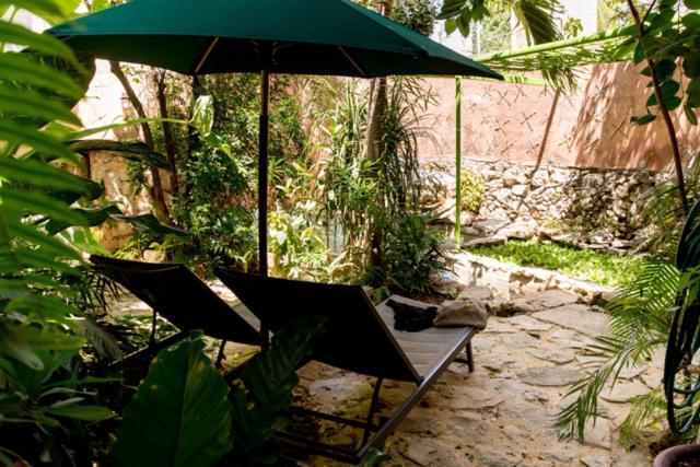 La Selva By Majikal B&B Mérida Exterior photo