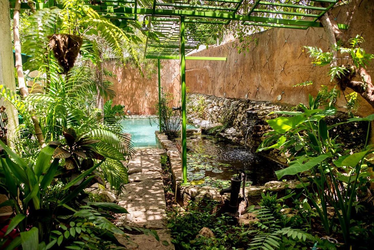 La Selva By Majikal B&B Mérida Exterior photo